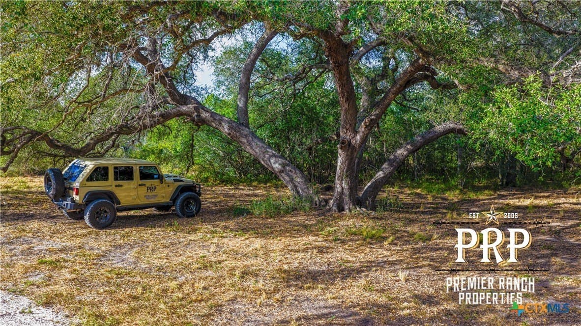 51.99 acres in Goliad County