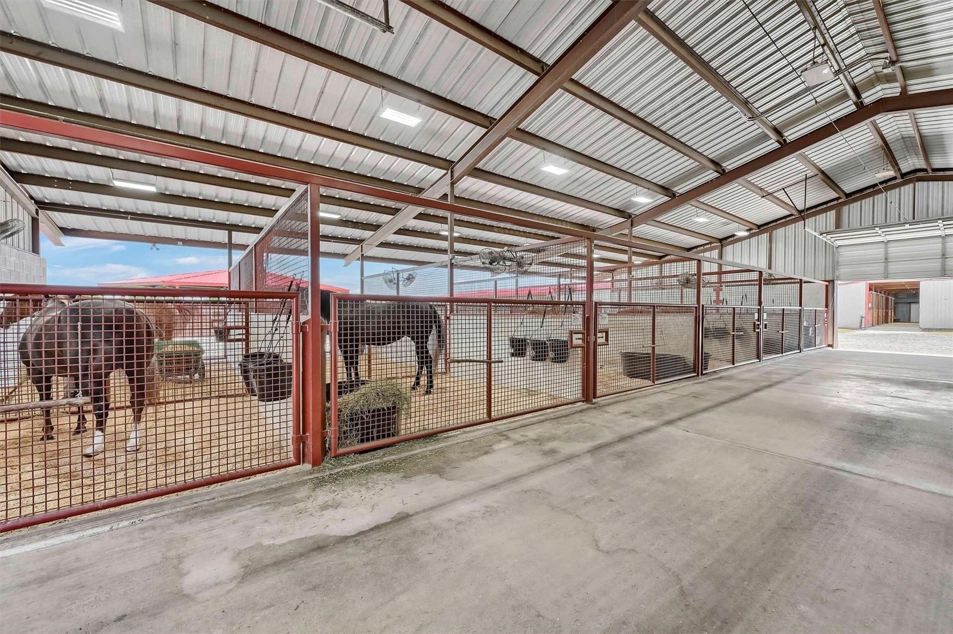 29.41 acres in Grayson County - photo 16