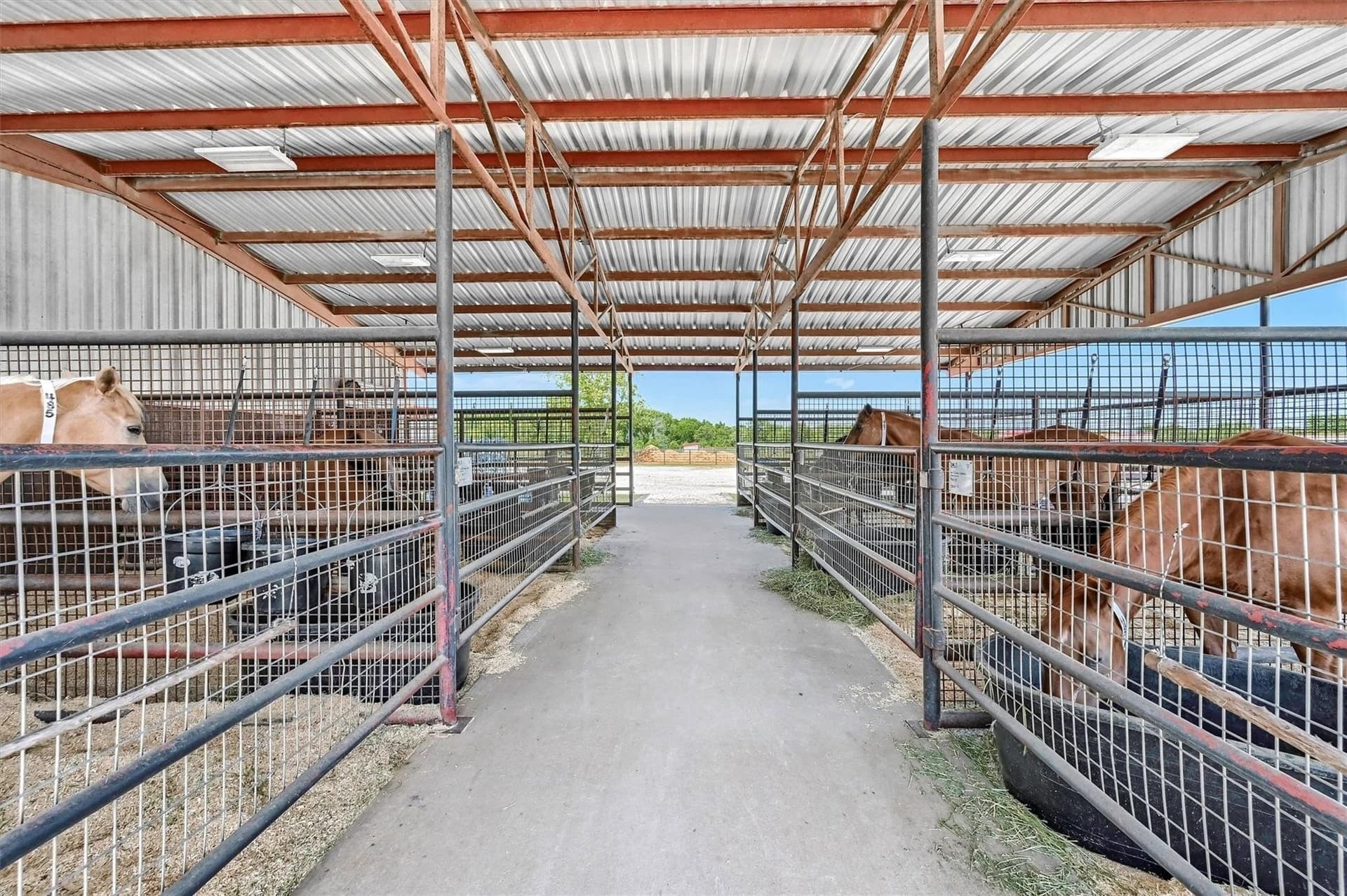 29.41 acres in Grayson County - photo 19