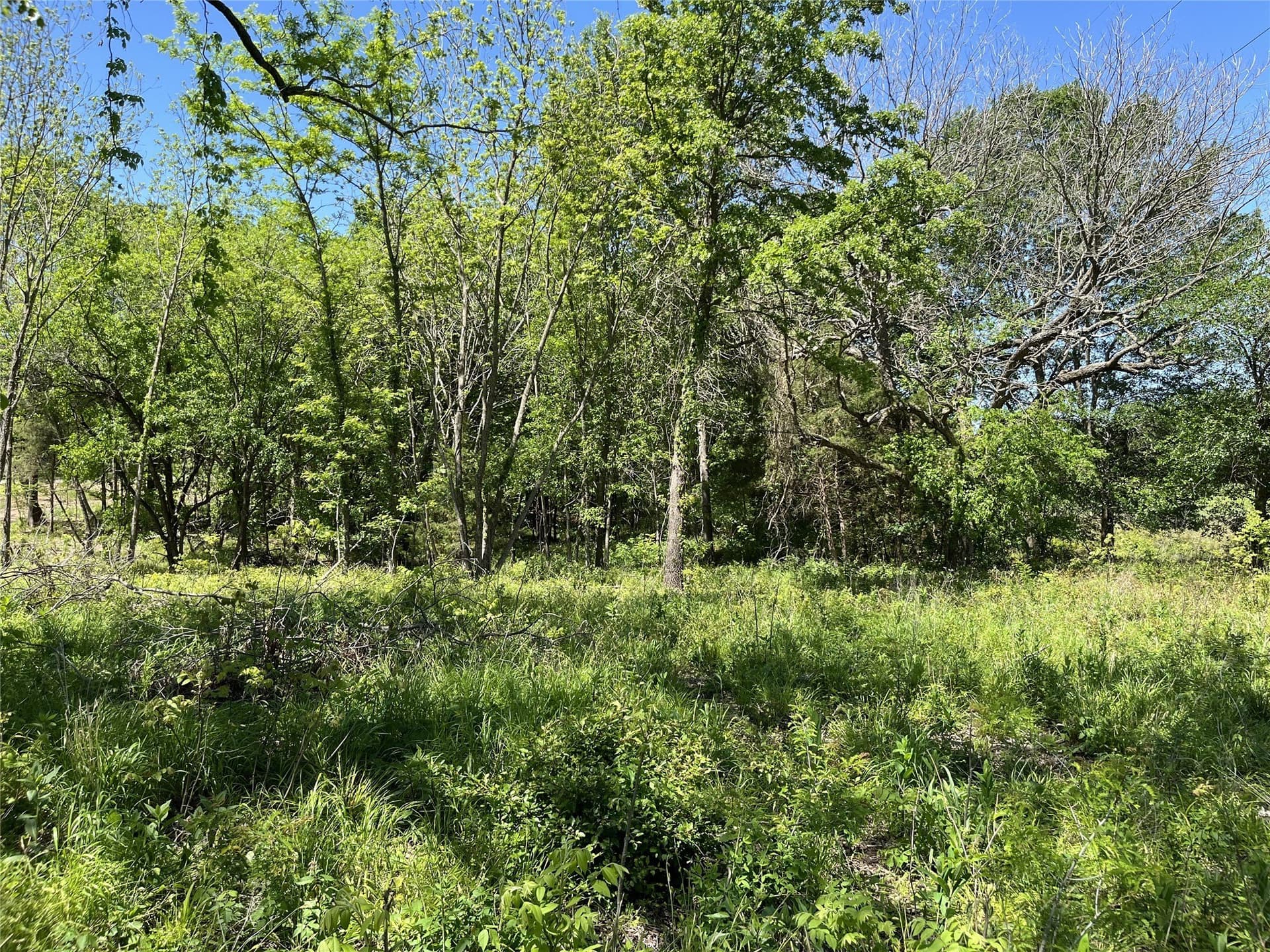 1.4 acres in Fannin County - photo 10