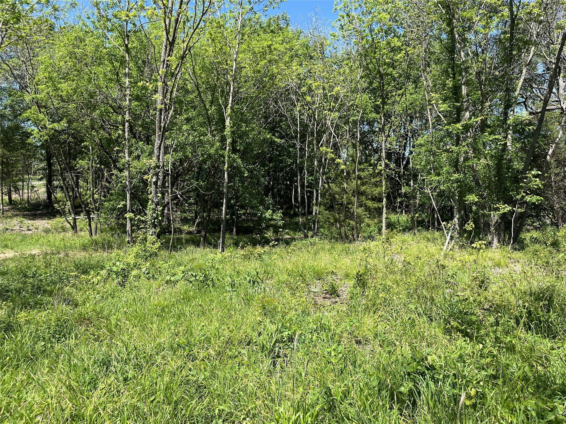 1.4 acres in Fannin County - photo 9
