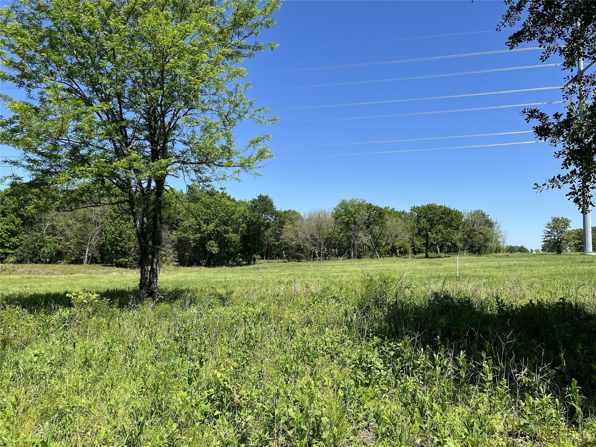 1.4 acres in Fannin County - photo 2