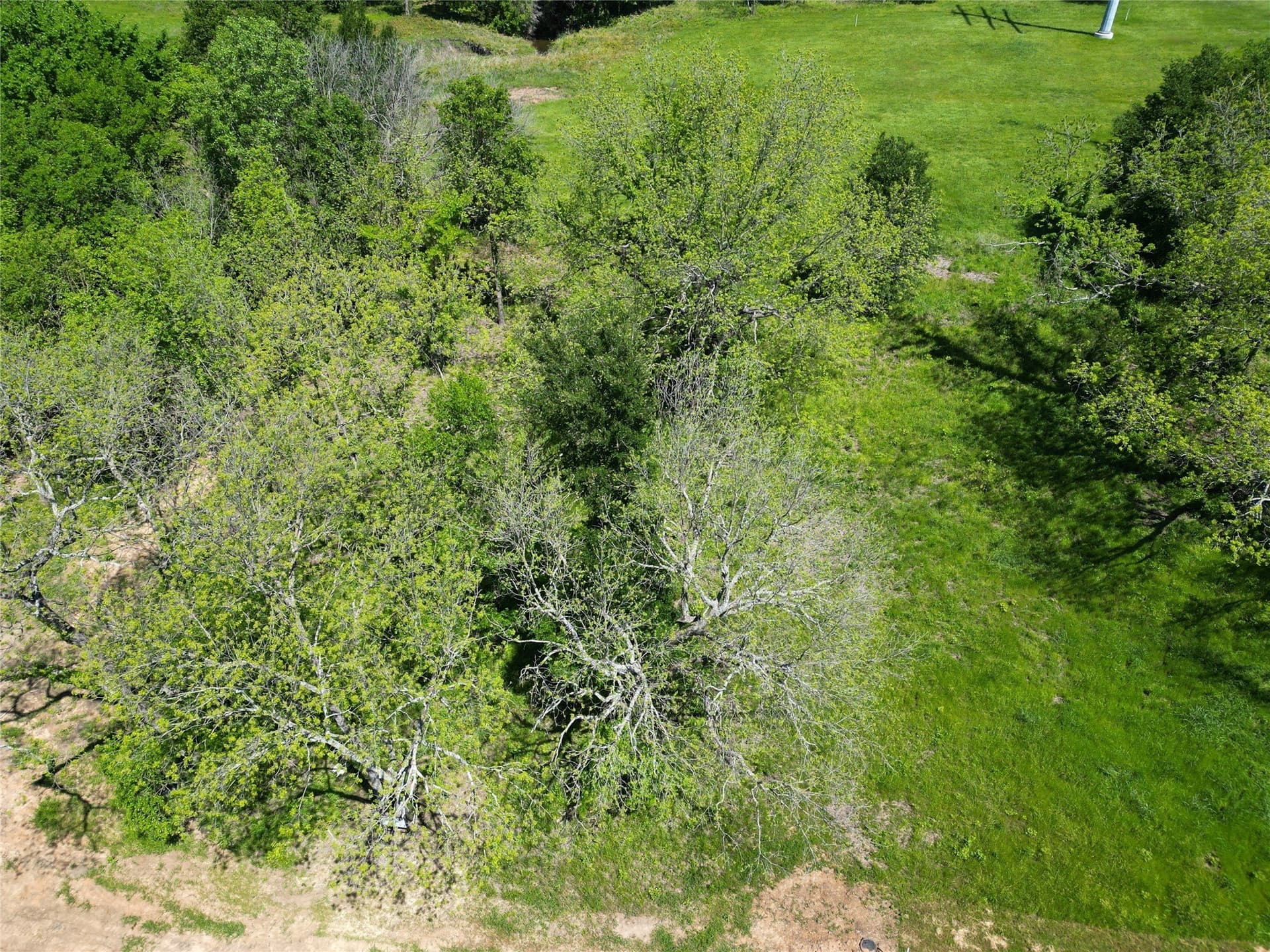 1.4 acres in Fannin County - photo 23