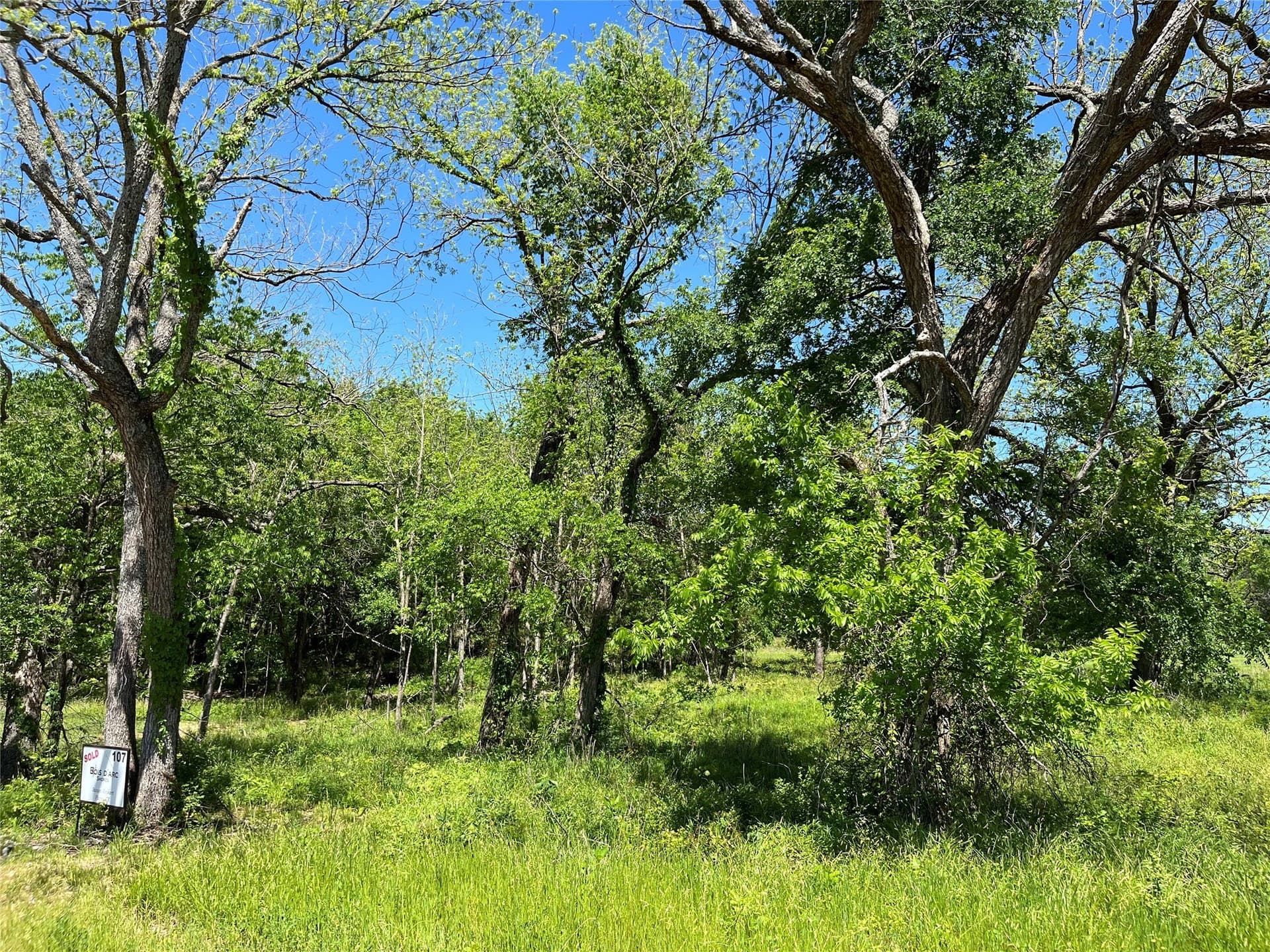 1.4 acres in Fannin County - photo 12