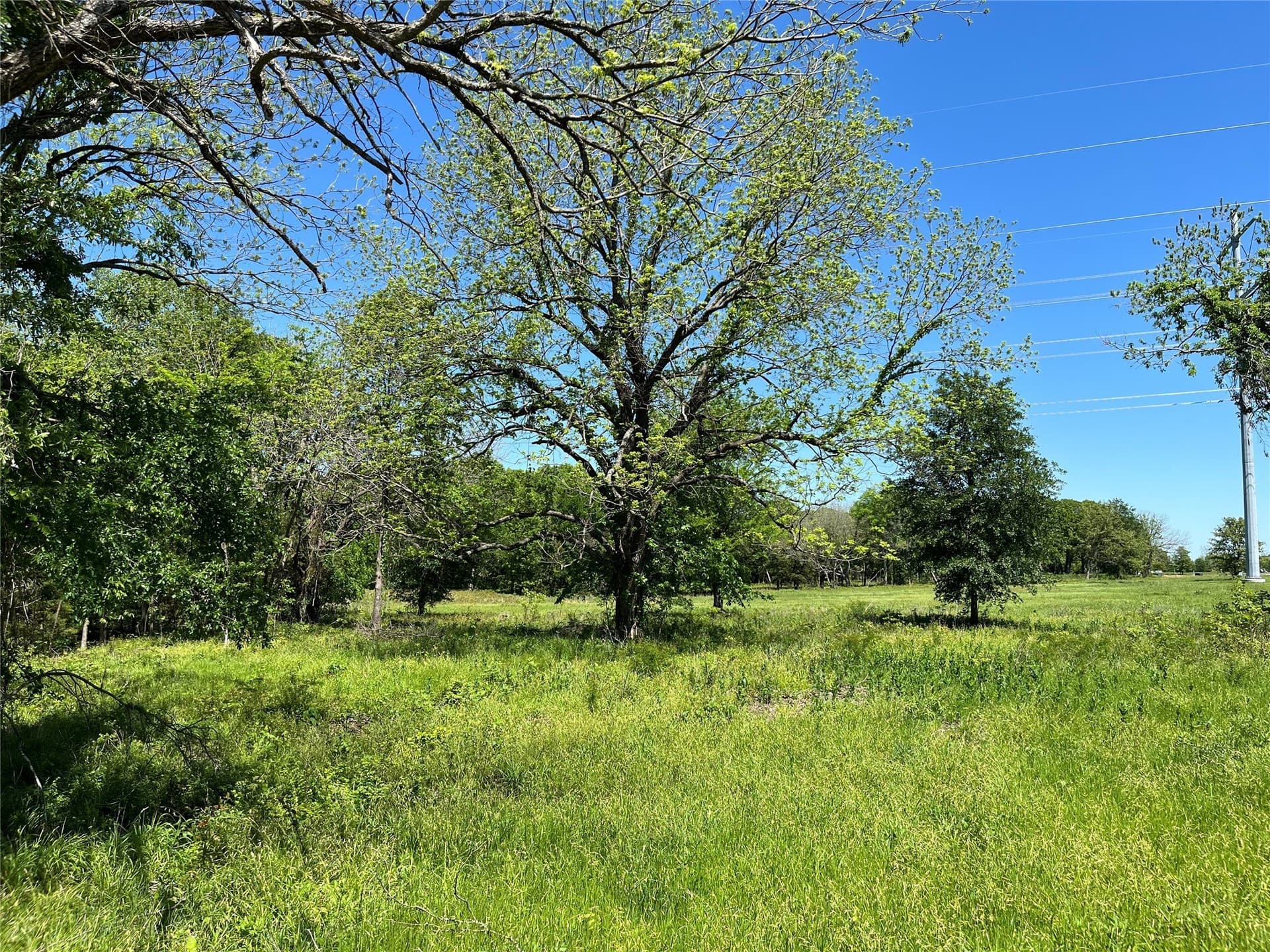 1.4 acres in Fannin County - photo 5