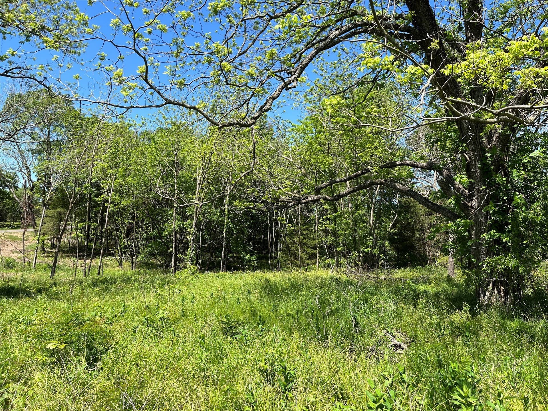 1.4 acres in Fannin County - photo 11