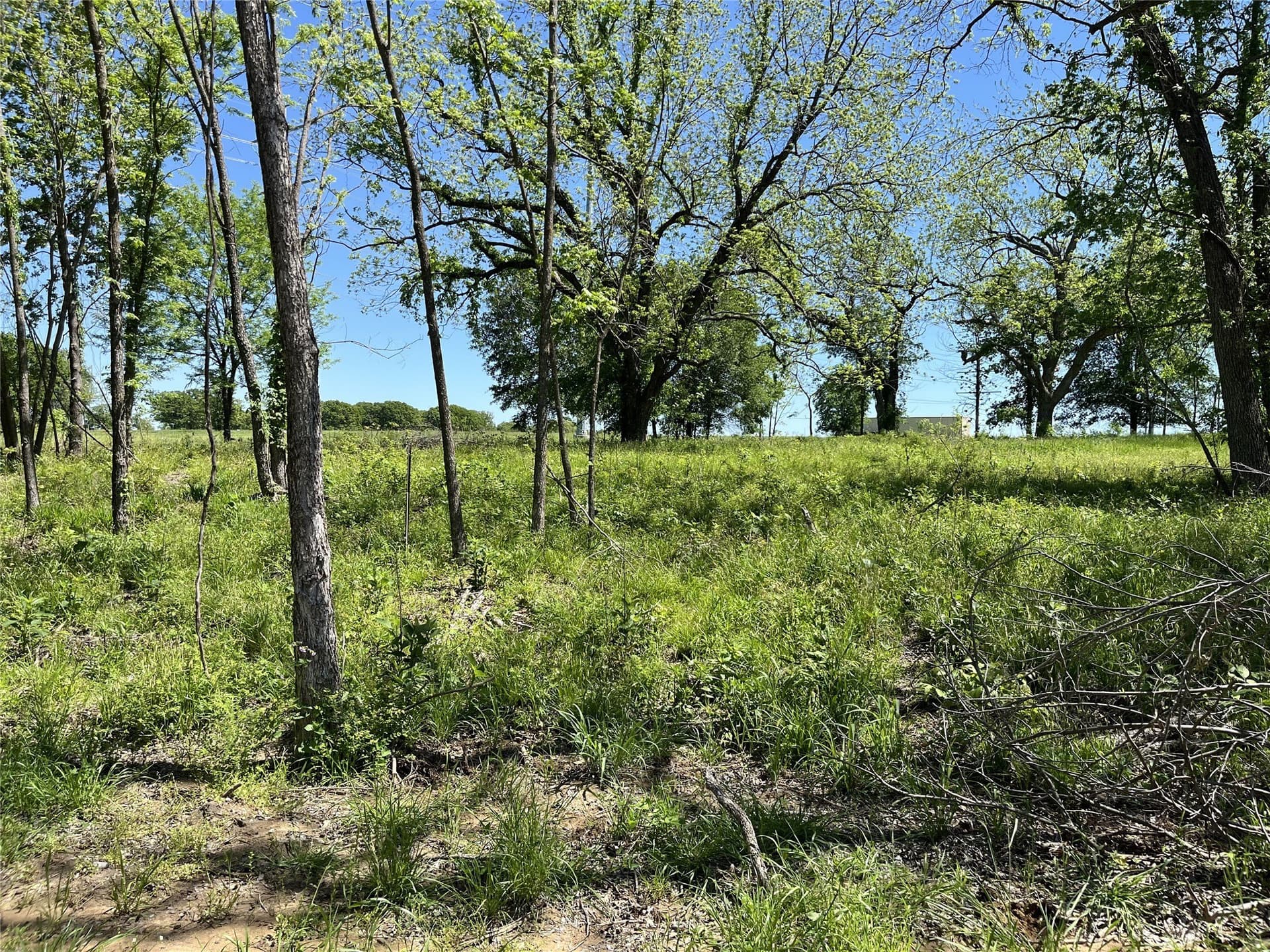 1.4 acres in Fannin County - photo 6