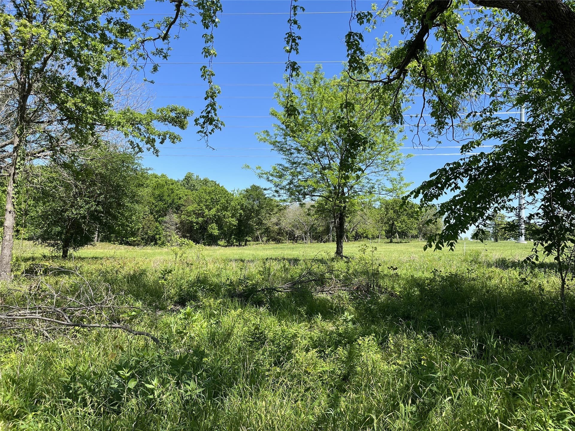 1.4 acres in Fannin County - photo 8