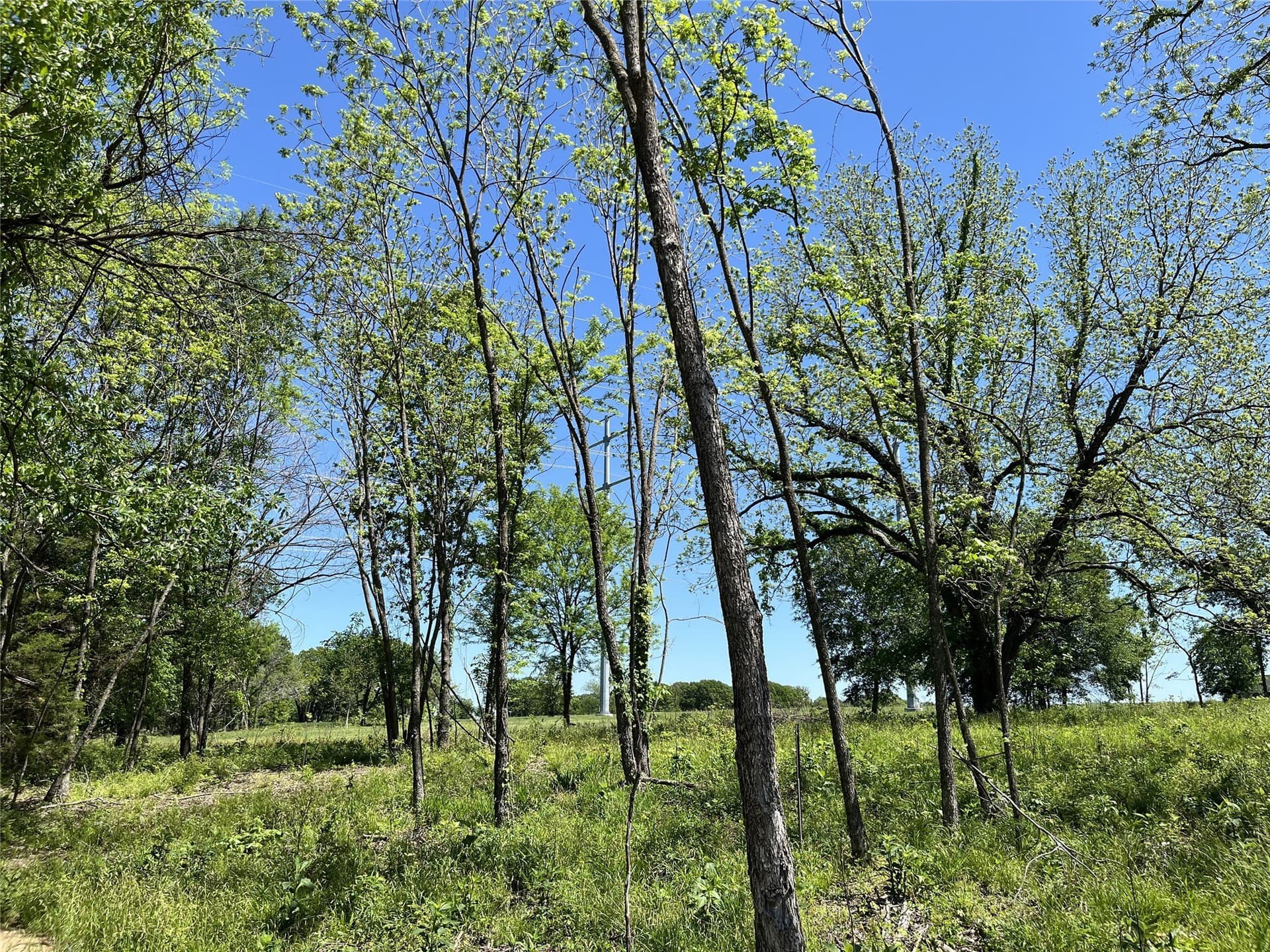 1.4 acres in Fannin County - photo 7