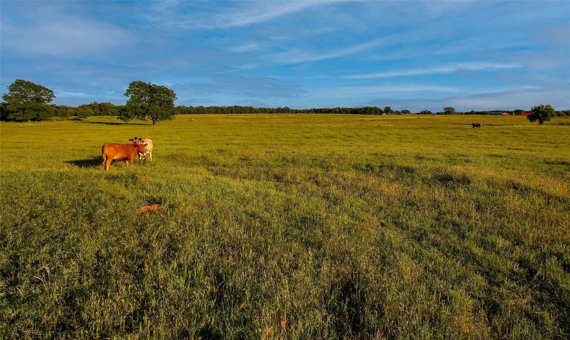 63 acres in Wise County - photo 11