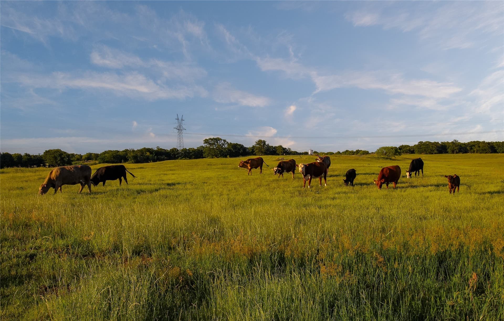 63 acres in Wise County - photo 15
