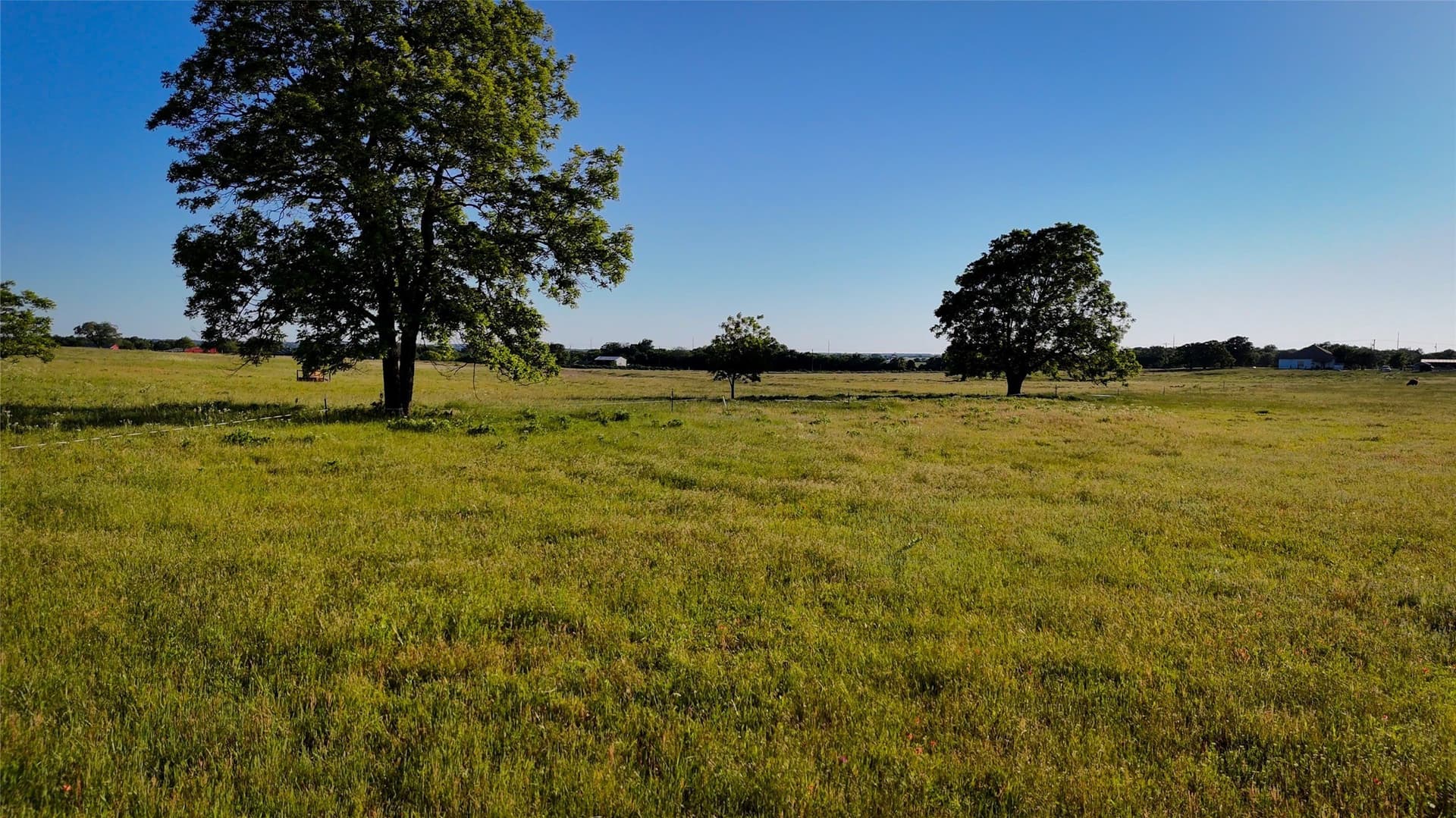 63 acres in Wise County - photo 5
