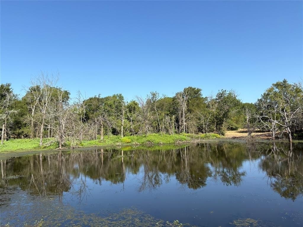 70 acres in Hopkins County gallery image 2