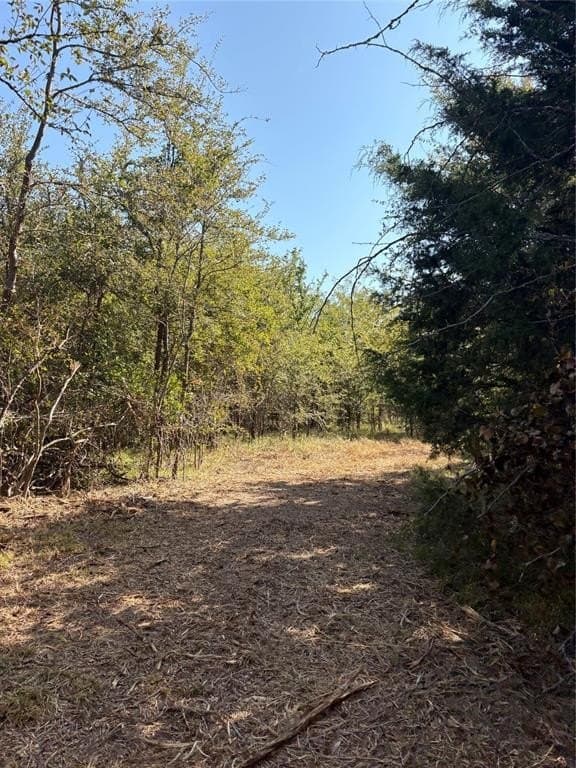 70 acres in Hopkins County gallery image 3