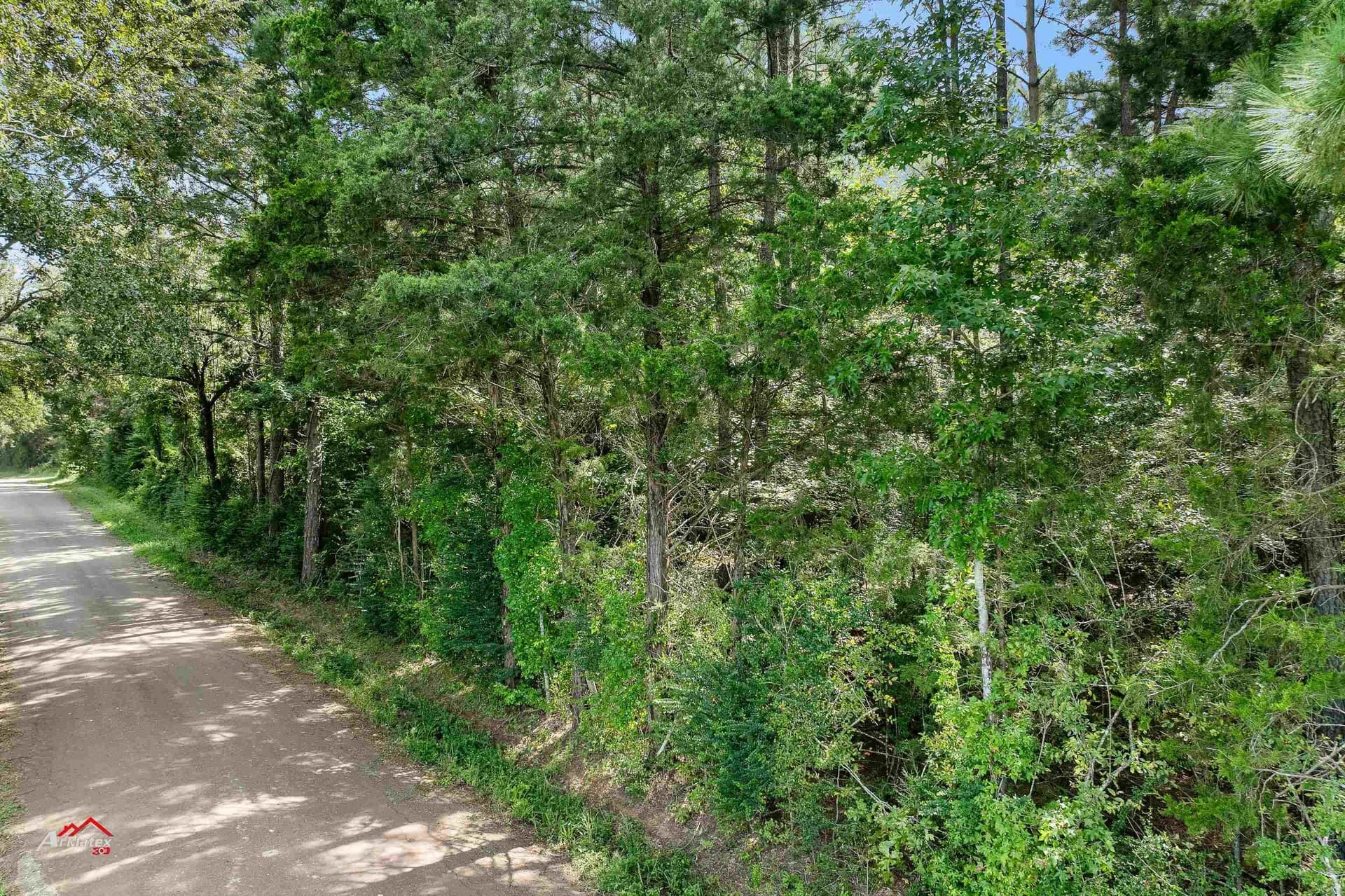 44 acres in Rusk County featured view