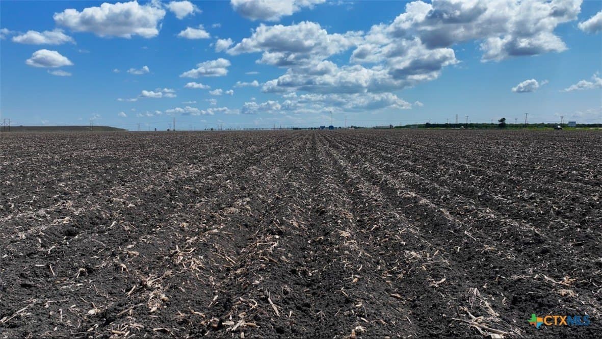 50.08 acres in Victoria County - photo 6