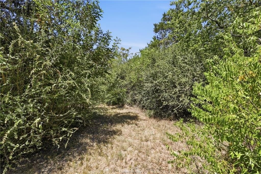 0.42 acres in Brazos County - photo 5