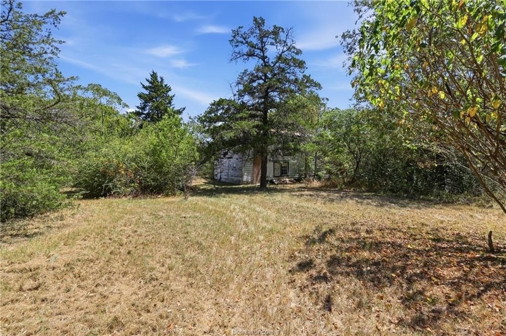 0.42 acres in Brazos County - photo 7