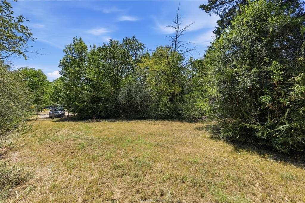 0.42 acres in Brazos County - photo 4