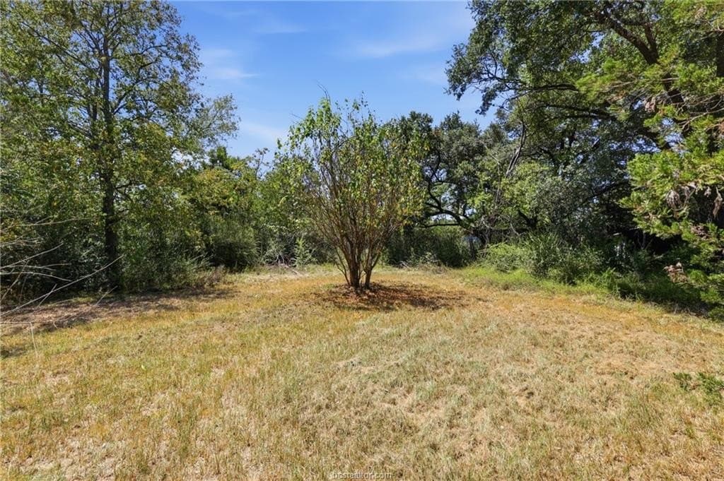0.42 acres in Brazos County - photo 6