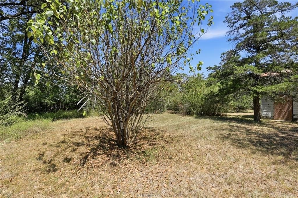 0.42 acres in Brazos County - photo 8