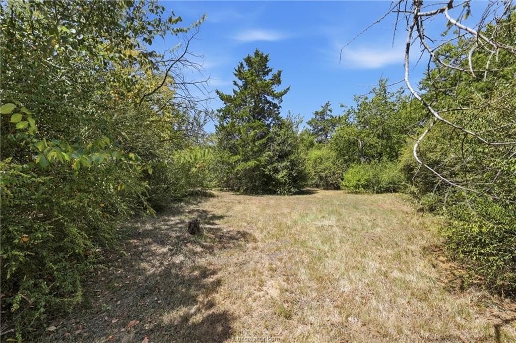 0.42 acres in Brazos County - photo 3