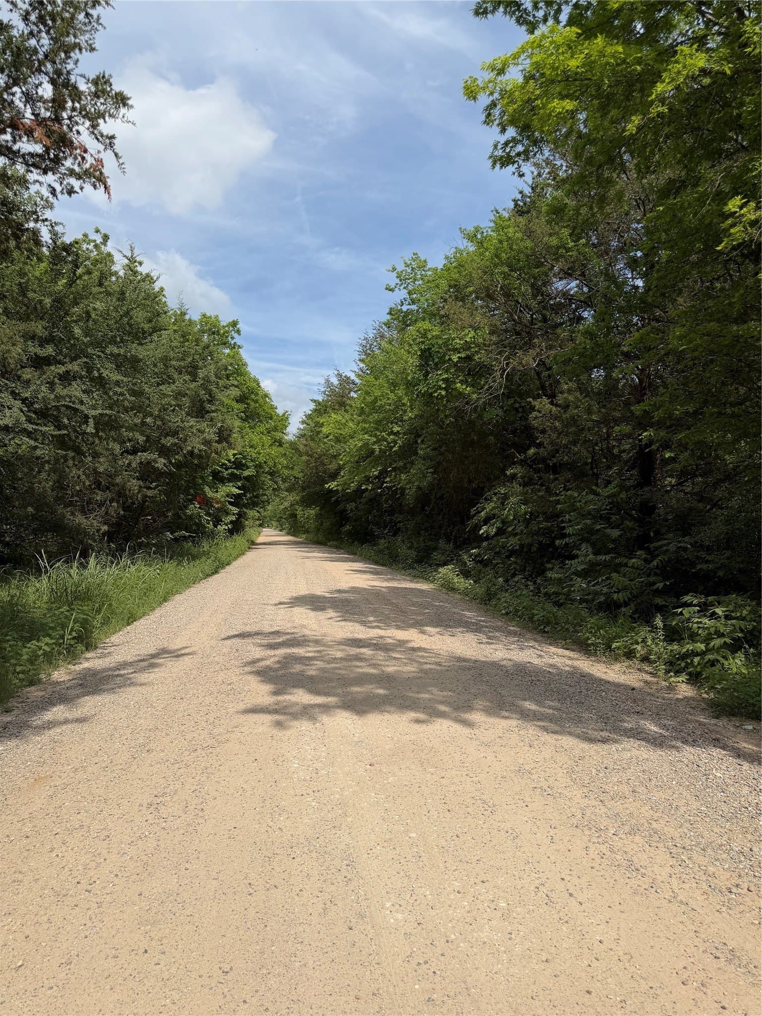 8.49 acres in Fannin County - photo 8