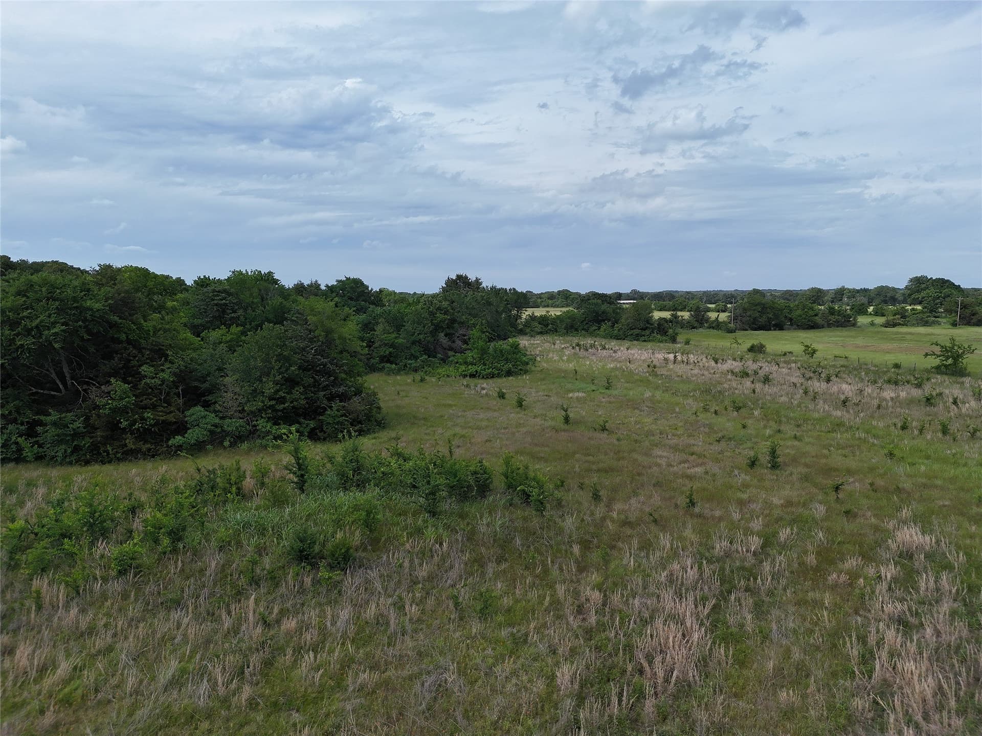 8.49 acres in Fannin County gallery image 3