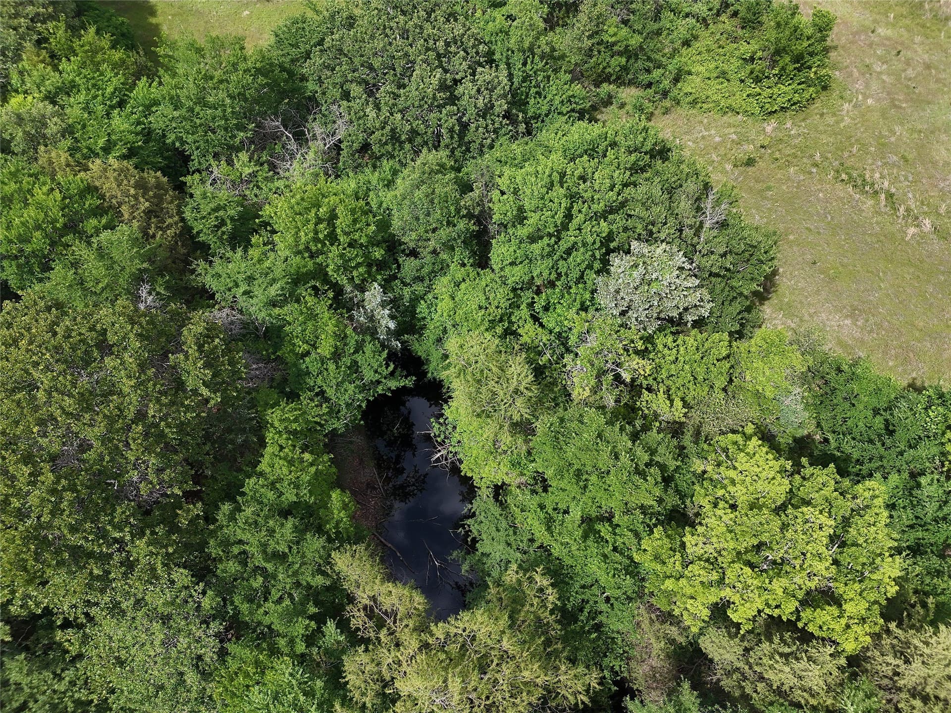 8.49 acres in Fannin County - photo 6