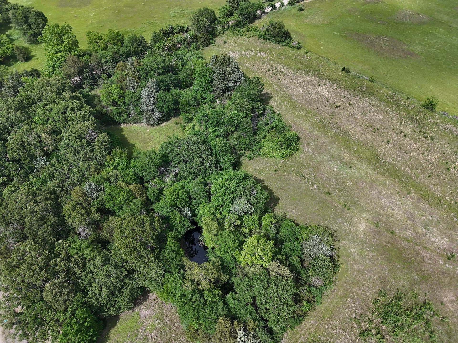 8.49 acres in Fannin County gallery image 4