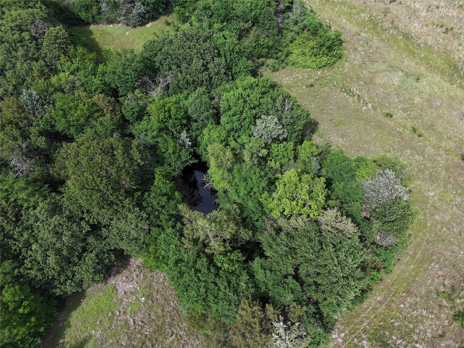 8.49 acres in Fannin County featured view