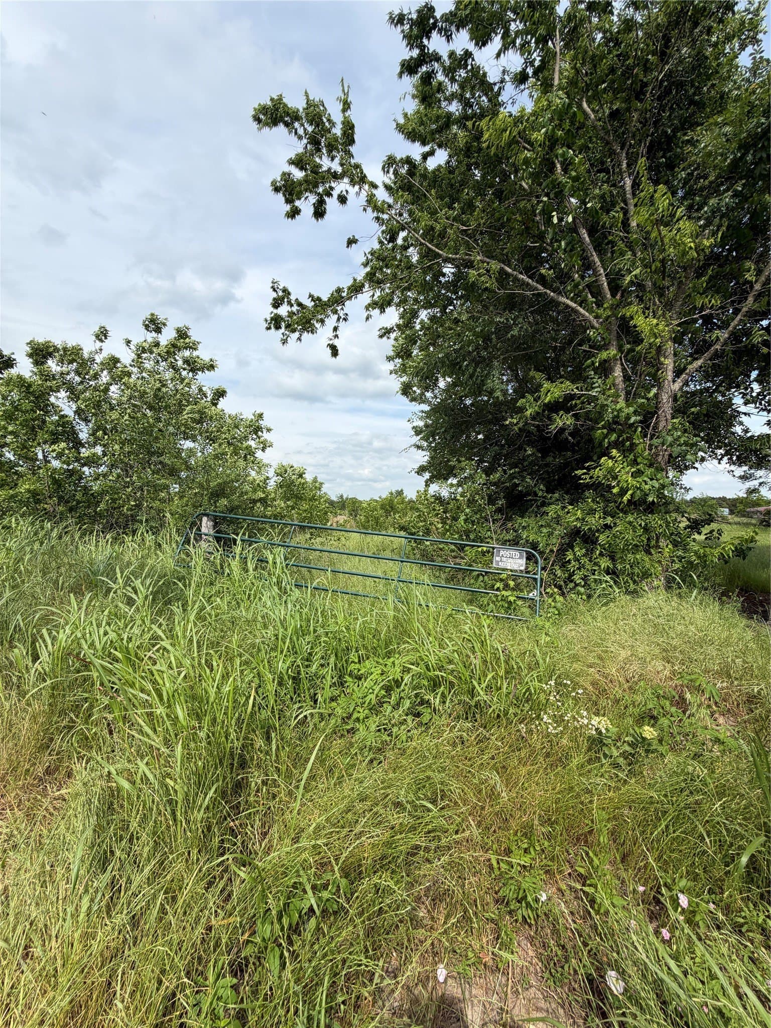8.49 acres in Fannin County - photo 7