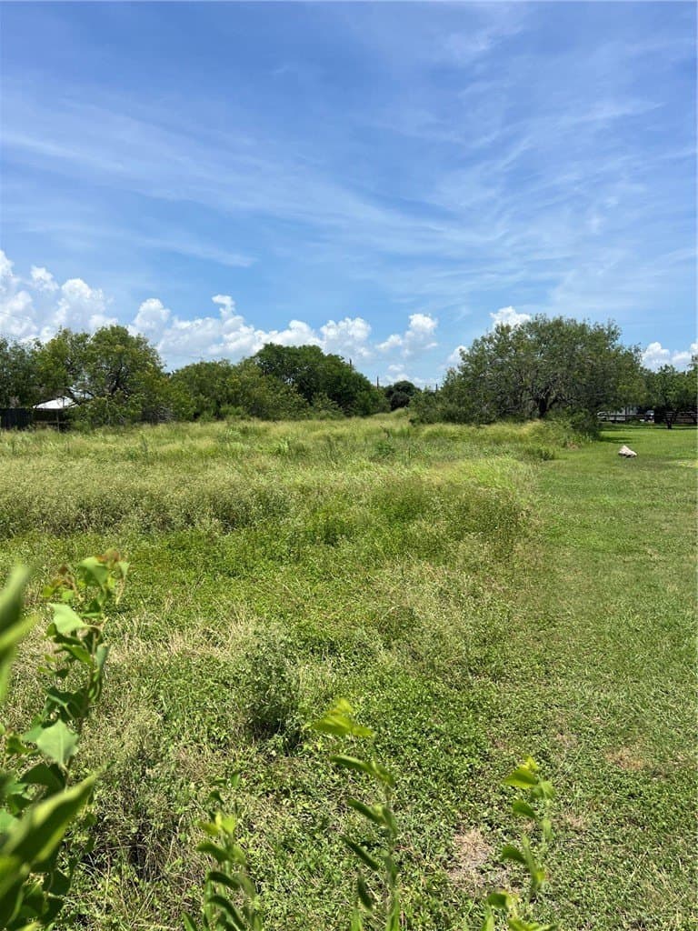 37,026 acres in Nueces County - photo 4