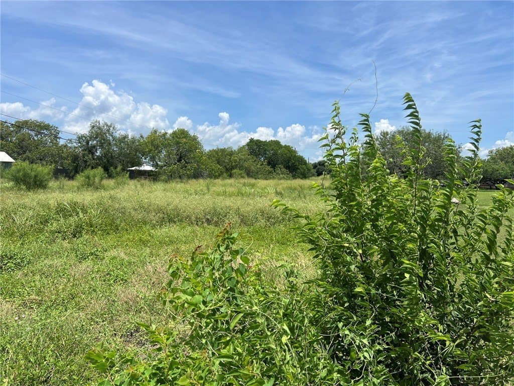 37,026 acres in Nueces County - photo 3