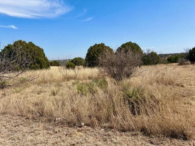 2 acres in Randall County gallery image 2