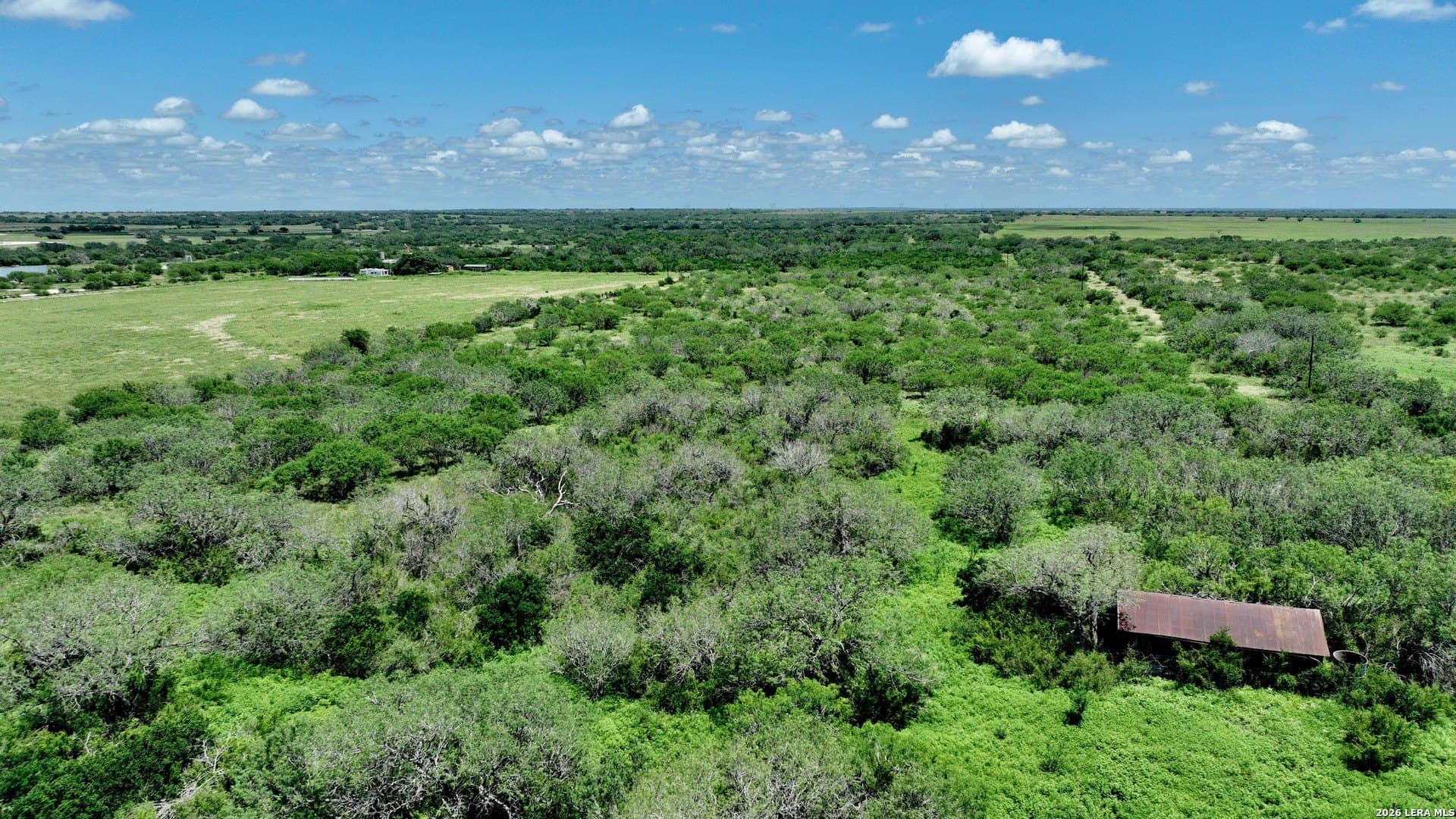 114 acres in Karnes County gallery image 4