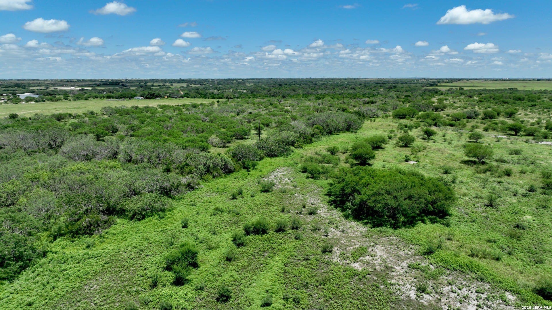 114 acres in Karnes County gallery image 3