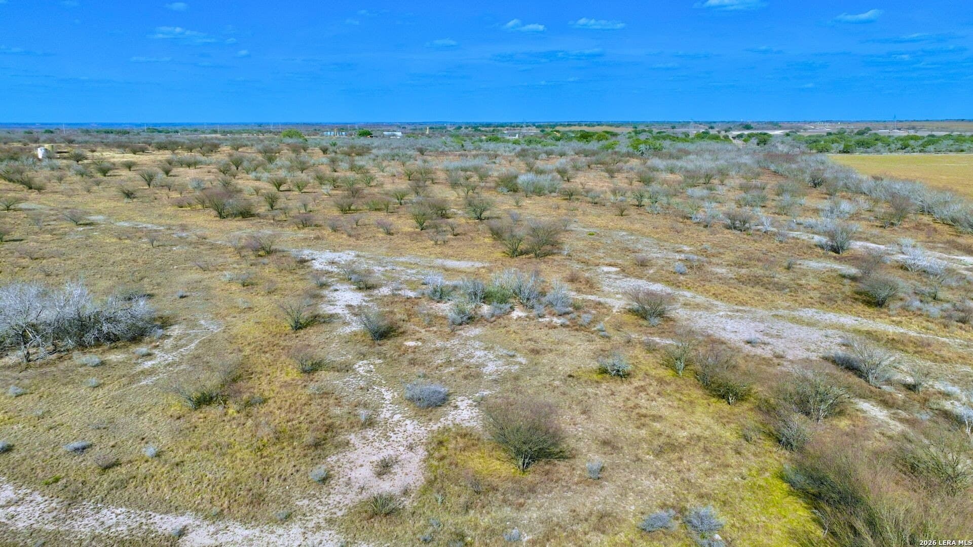 114 acres in Karnes County gallery image 4