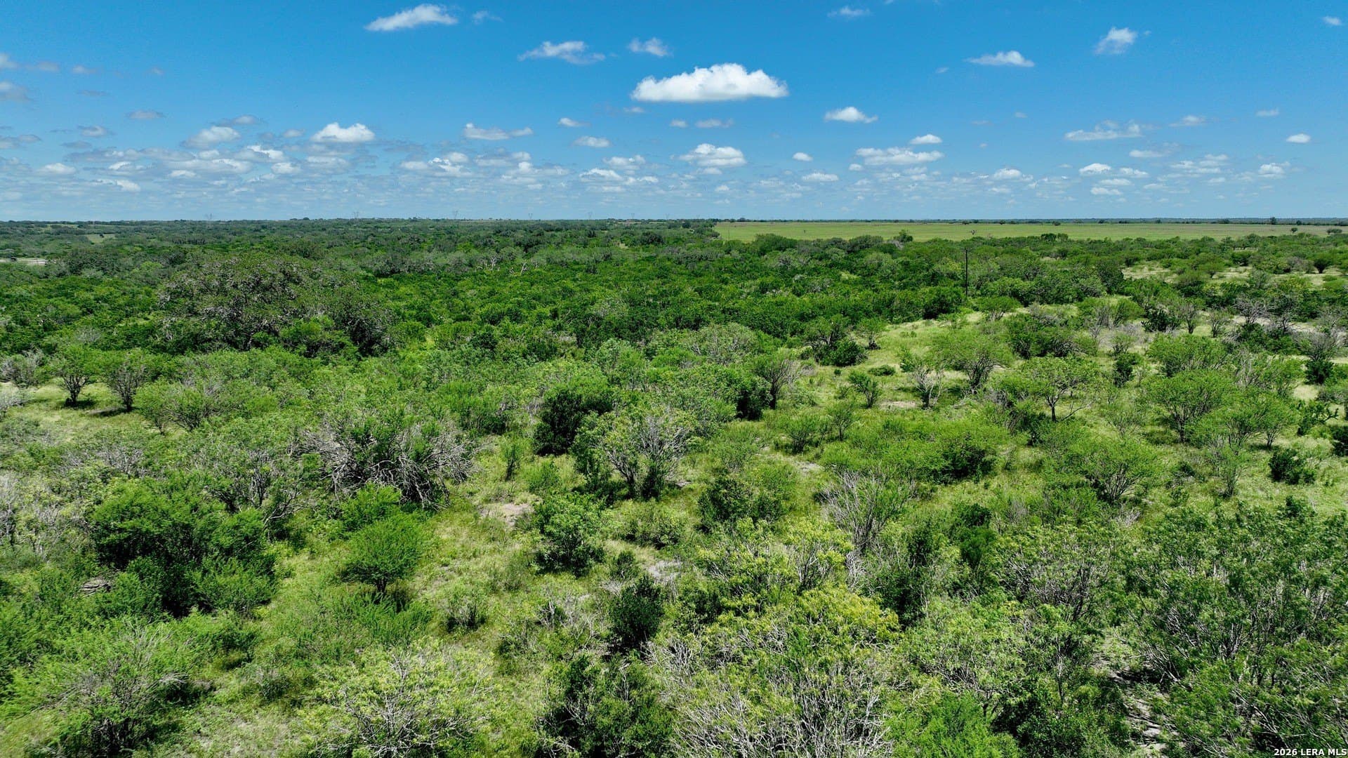114 acres in Karnes County gallery image 2