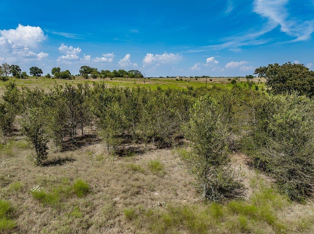 18.59 acres in Fayette County - photo 24