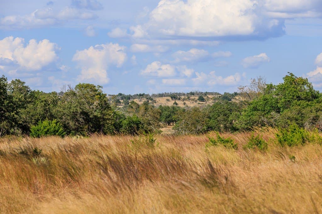 18.8 acres in Gillespie County gallery image 4