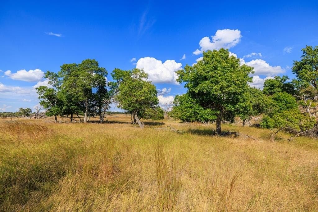 18.8 acres in Gillespie County