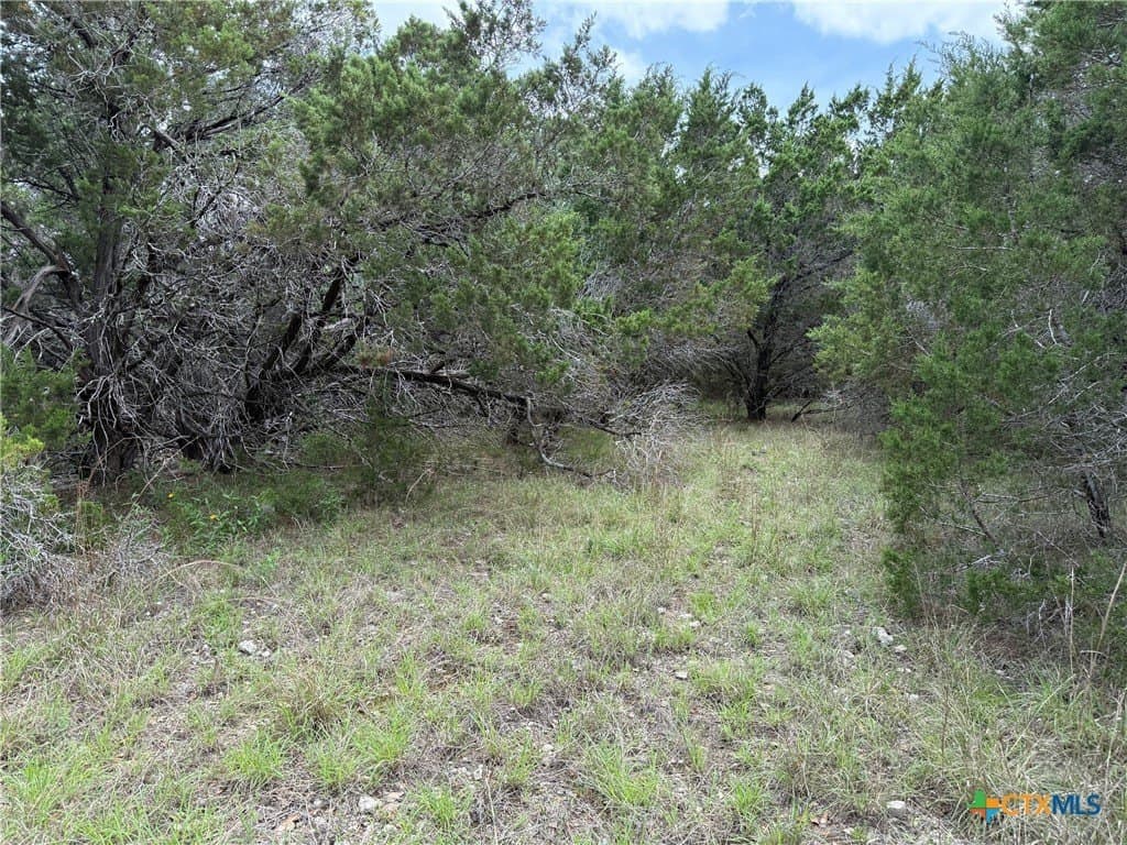 0.17 acres in Comal County gallery image 2