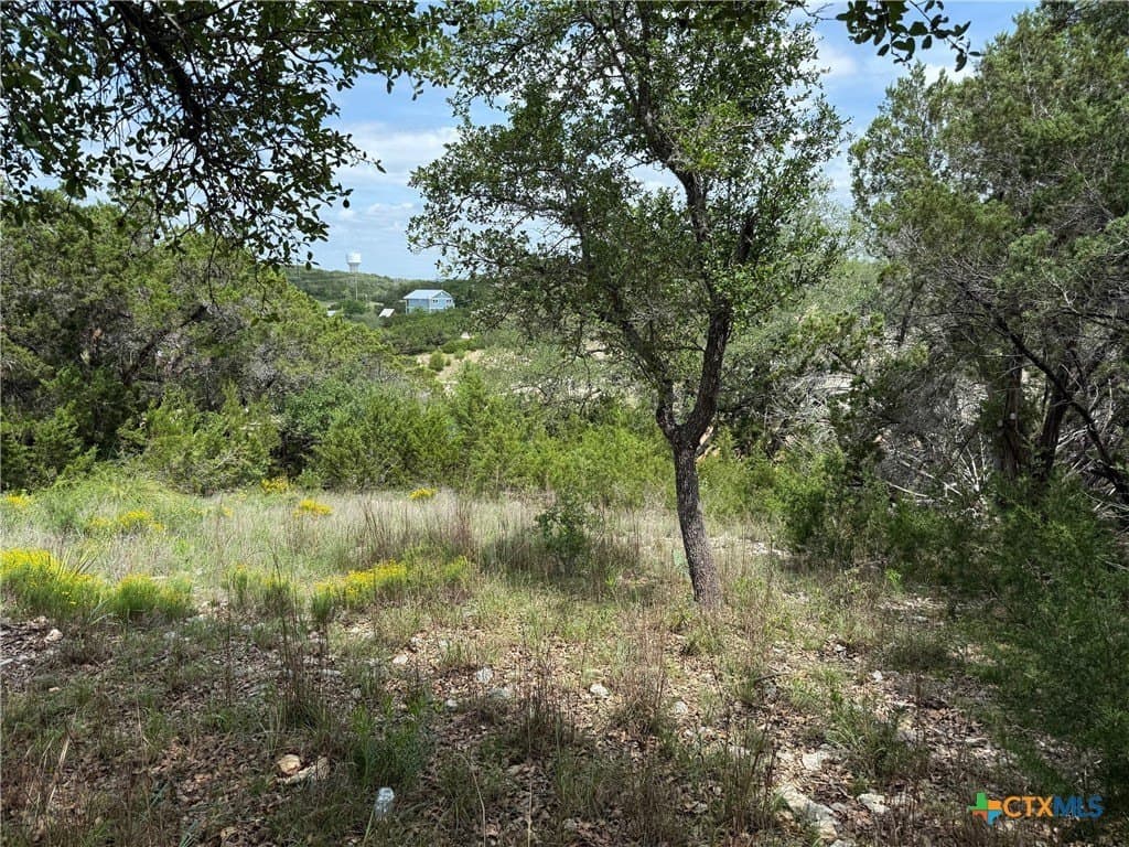 0.17 acres in Comal County