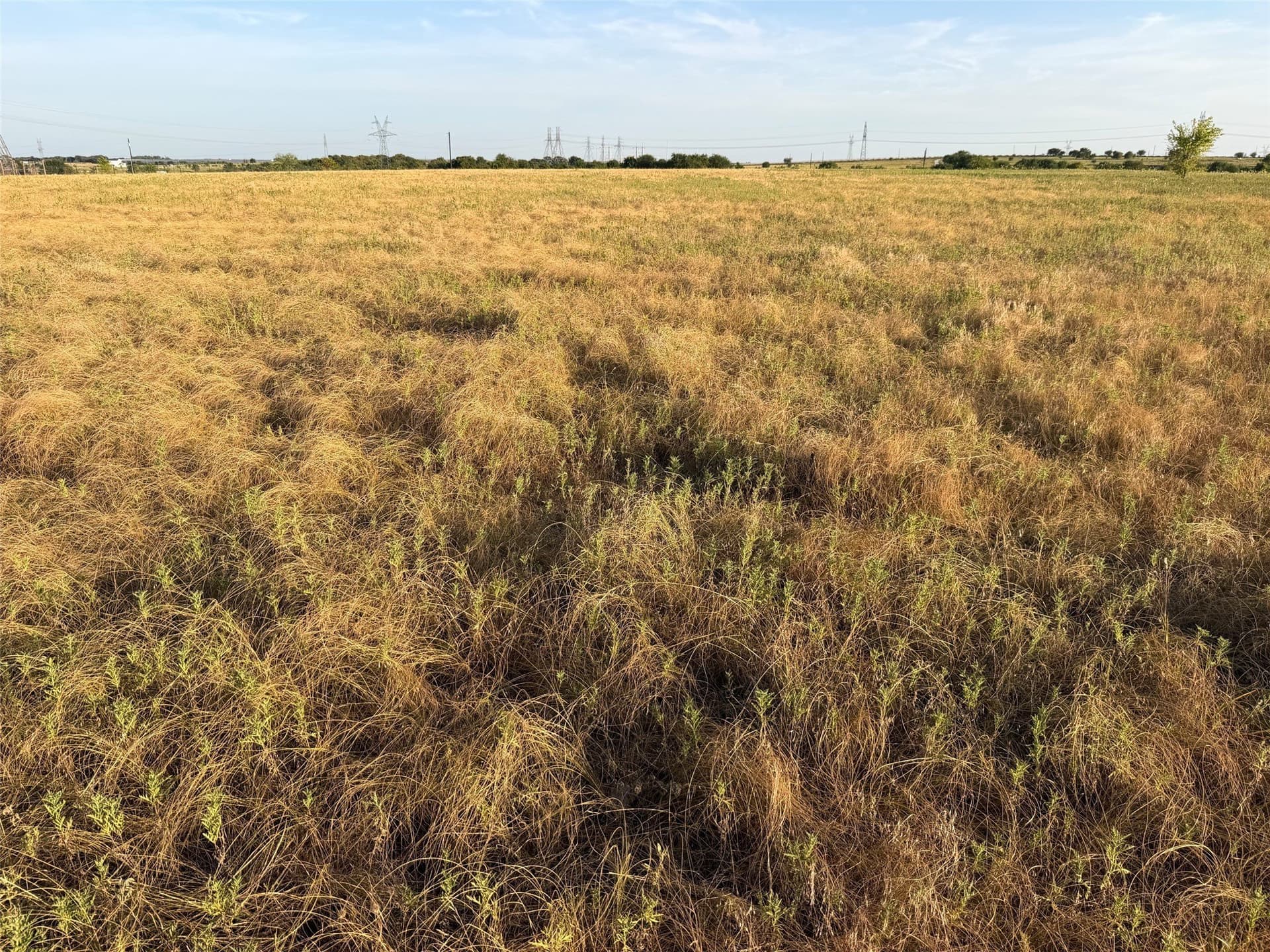 24.59 acres in Denton County - photo 13