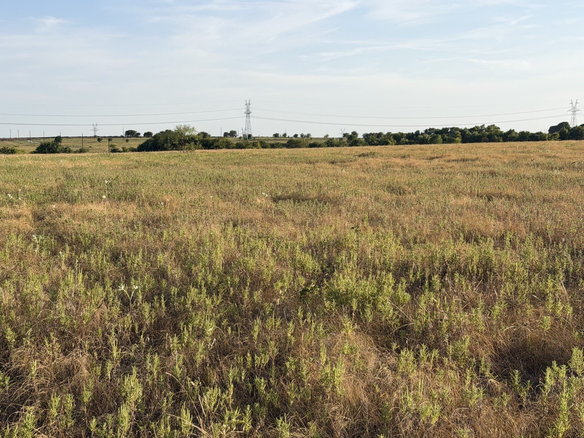 24.59 acres in Denton County