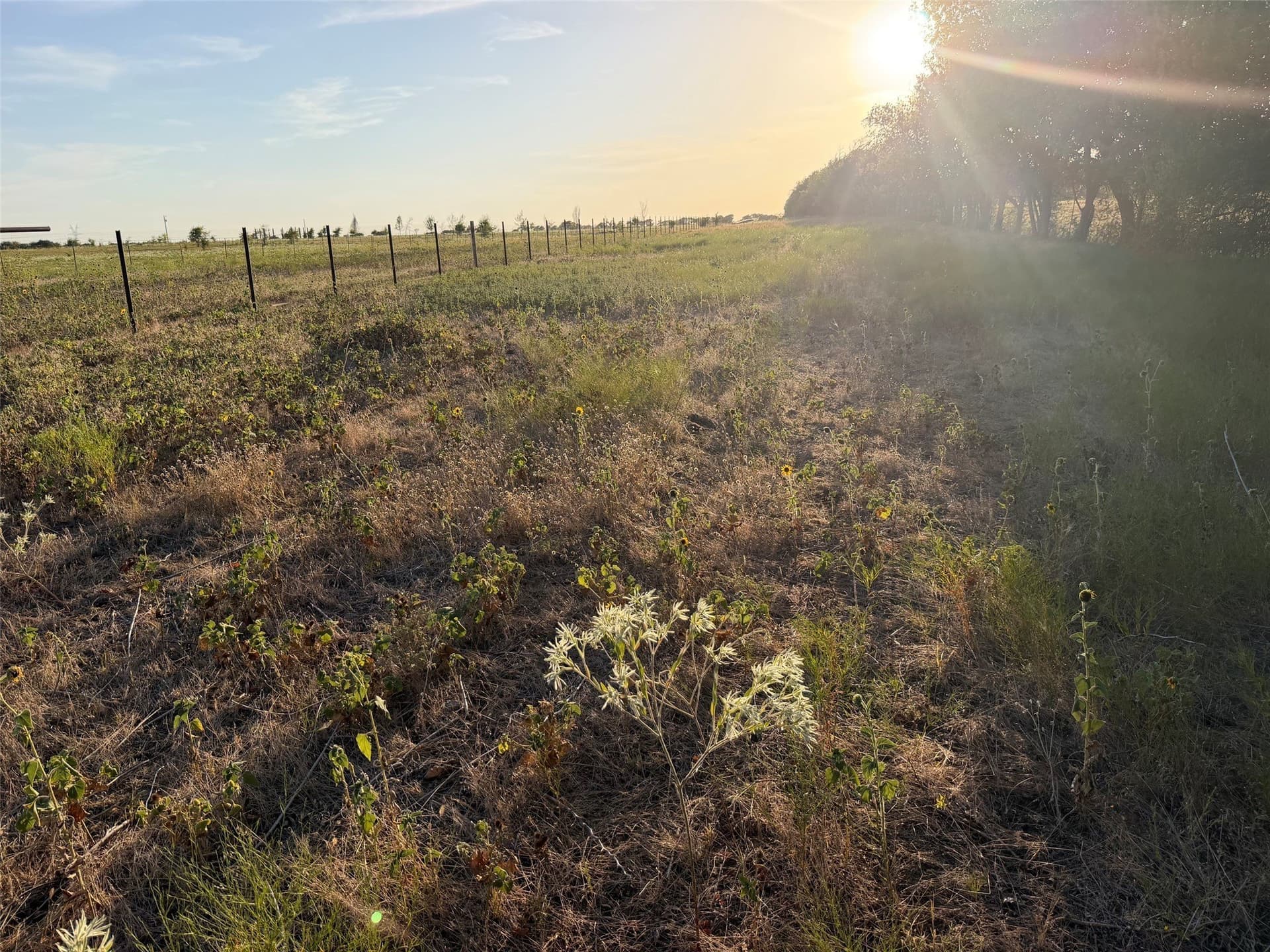 24.59 acres in Denton County - photo 17