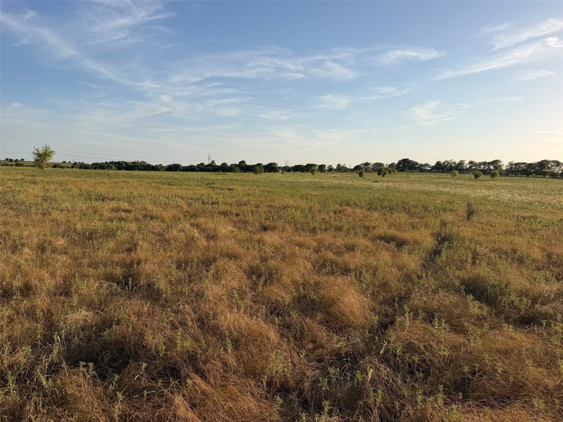 24.59 acres in Denton County - photo 11