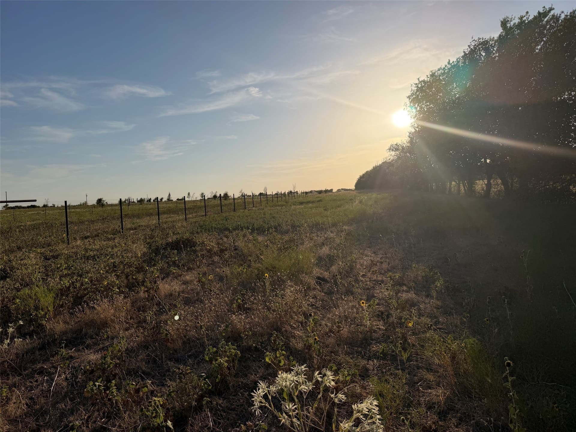 24.59 acres in Denton County - photo 16