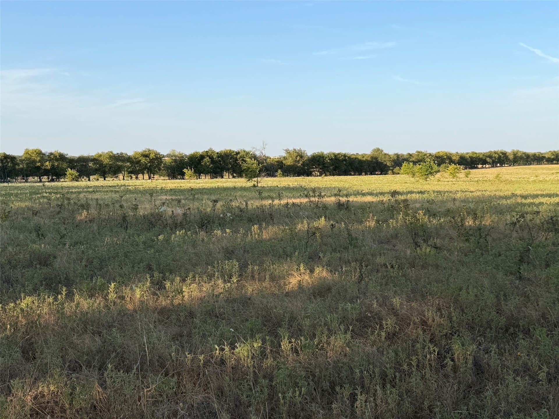 24.59 acres in Denton County - photo 6